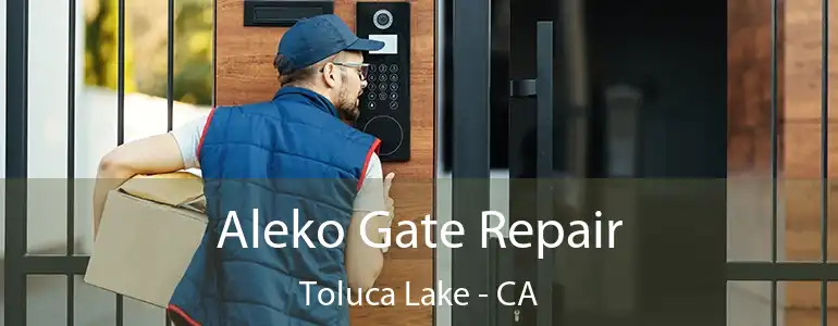  Aleko Gate Repair Toluca Lake - CA