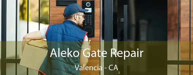 Aleko Gate Repair Valencia - CA