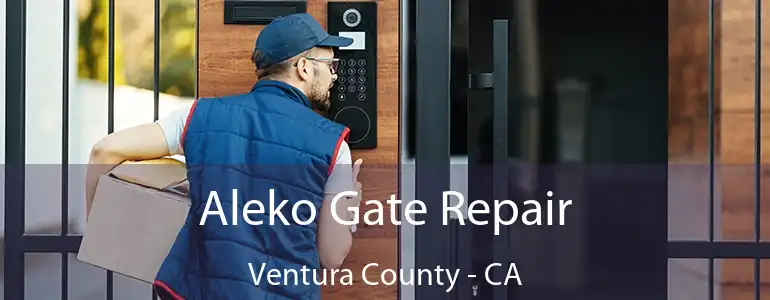  Aleko Gate Repair Ventura County - CA