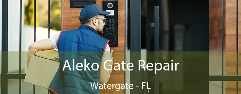  Aleko Gate Repair Watergate - FL