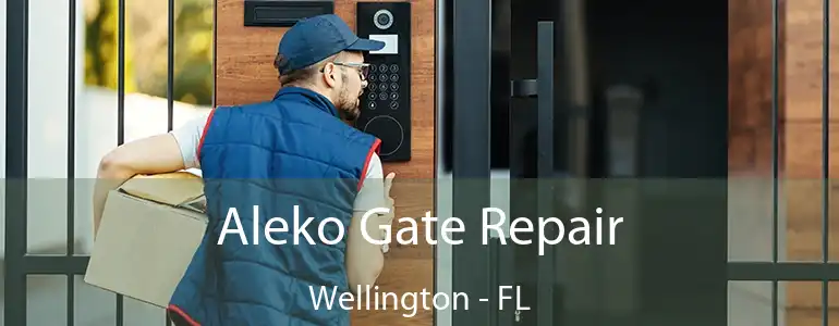  Aleko Gate Repair Wellington - FL