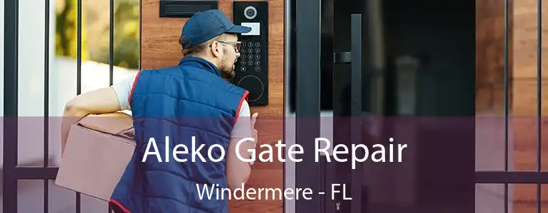  Aleko Gate Repair Windermere - FL