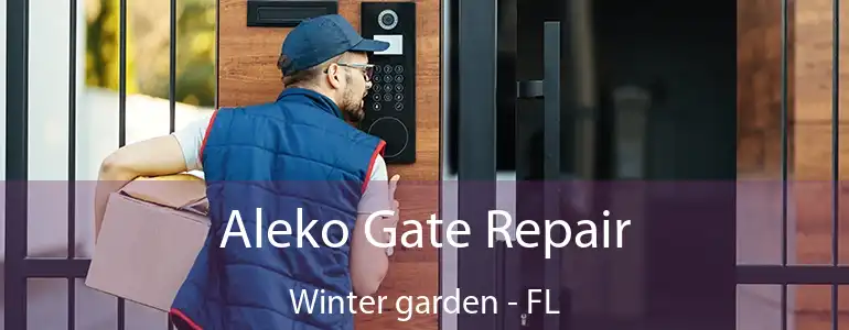  Aleko Gate Repair Winter garden - FL