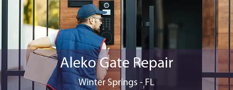  Aleko Gate Repair Winter Springs - FL