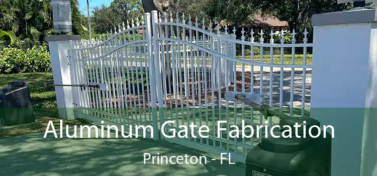 Aluminum Gate Fabrication Princeton - FL