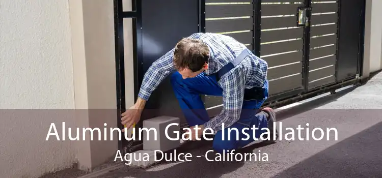 Aluminum Gate Installation Agua Dulce - California
