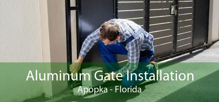 Aluminum Gate Installation Apopka - Florida