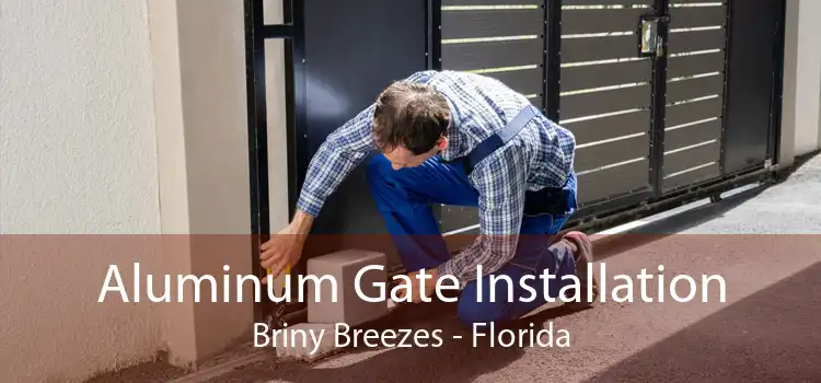 Aluminum Gate Installation Briny Breezes - Florida