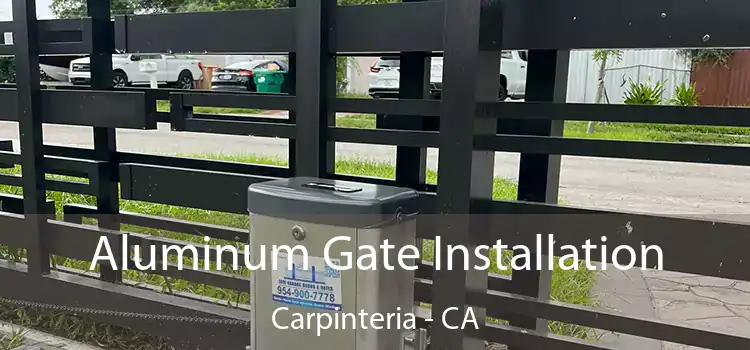  Aluminum Gate Installation Carpinteria - CA