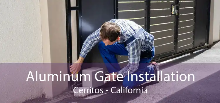Aluminum Gate Installation Cerritos - California