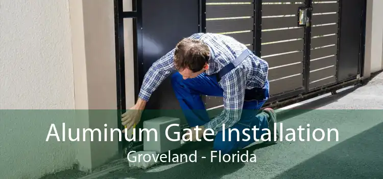 Aluminum Gate Installation Groveland - Florida