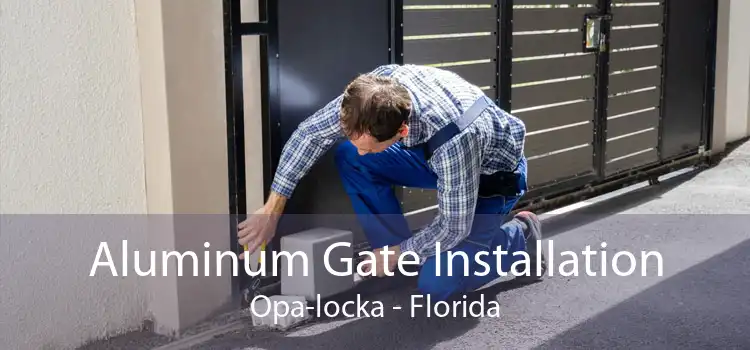Aluminum Gate Installation Opa-locka - Florida