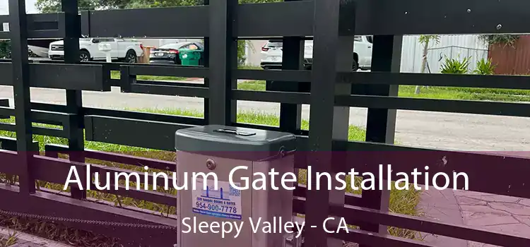  Aluminum Gate Installation Sleepy Valley - CA