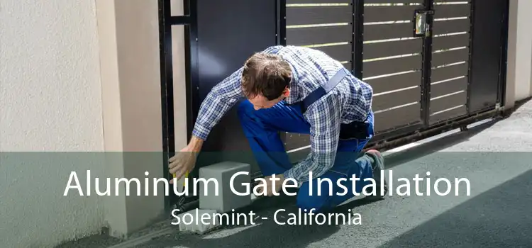 Aluminum Gate Installation Solemint - California