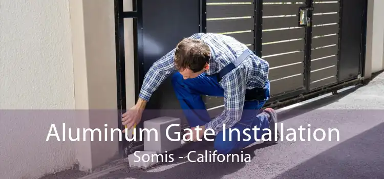 Aluminum Gate Installation Somis - California