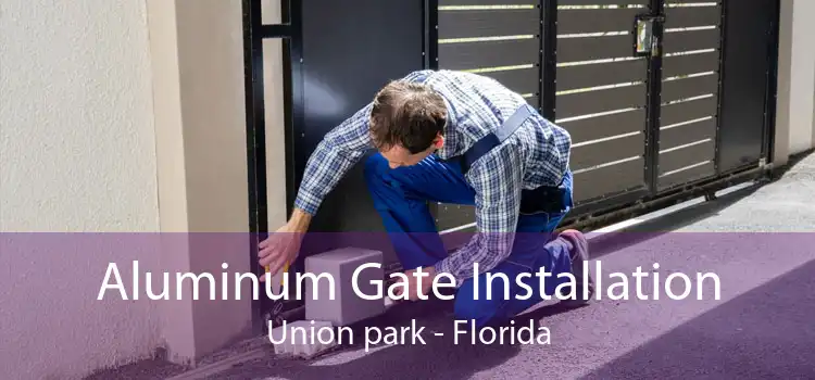 Aluminum Gate Installation Union park - Florida