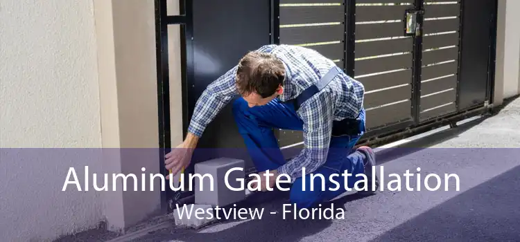 Aluminum Gate Installation Westview - Florida