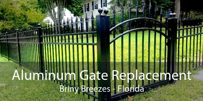 Aluminum Gate Replacement Briny Breezes - Florida