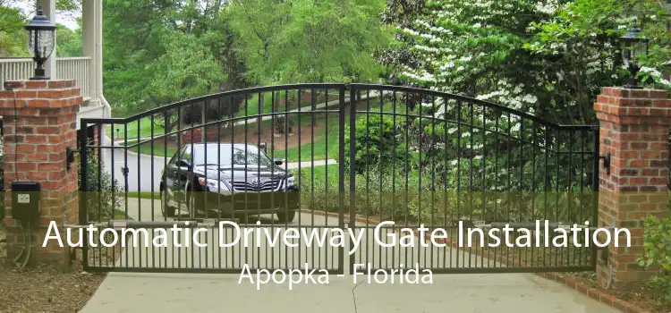 Automatic Driveway Gate Installation Apopka - Florida