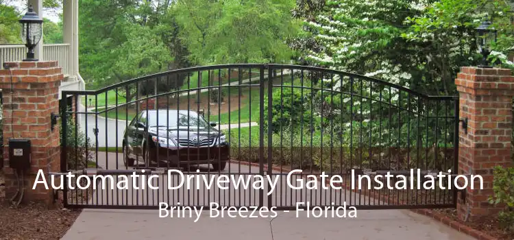 Automatic Driveway Gate Installation Briny Breezes - Florida