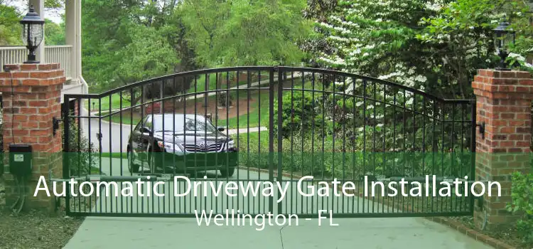 Automatic Driveway Gate Installation Wellington - FL
