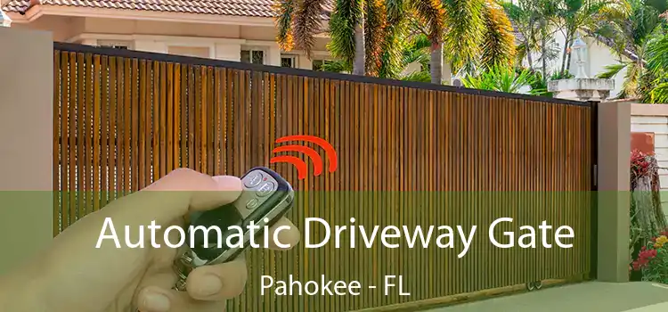  Automatic Driveway Gate Pahokee - FL