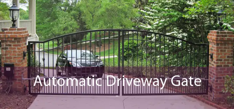 Automatic Driveway Gate  - 