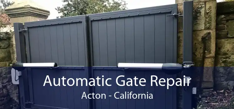 Automatic Gate Repair Acton - California