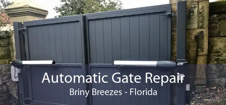 Automatic Gate Repair Briny Breezes - Florida