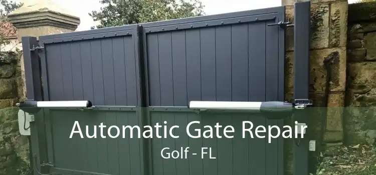 Automatic Gate Repair Golf - FL