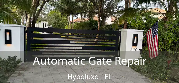  Automatic Gate Repair Hypoluxo - FL