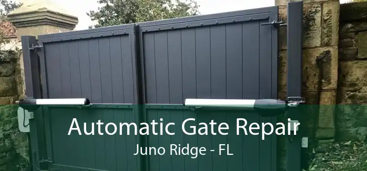 Automatic Gate Repair Juno Ridge - FL