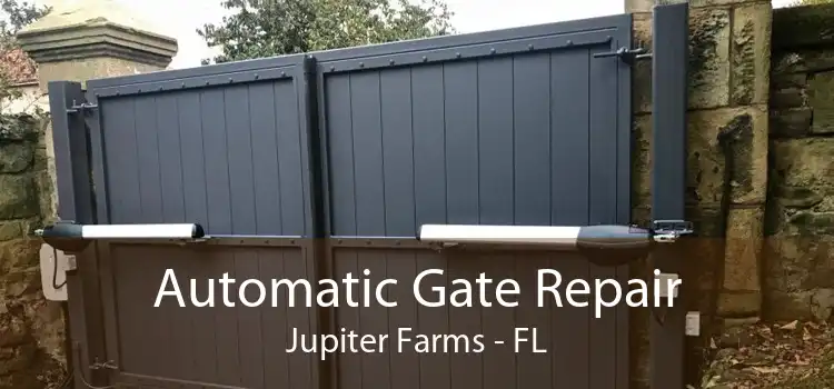 Automatic Gate Repair Jupiter Farms - FL