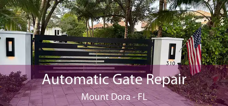 Automatic Gate Repair Mount Dora - FL