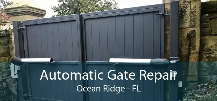 Automatic Gate Repair Ocean Ridge - FL