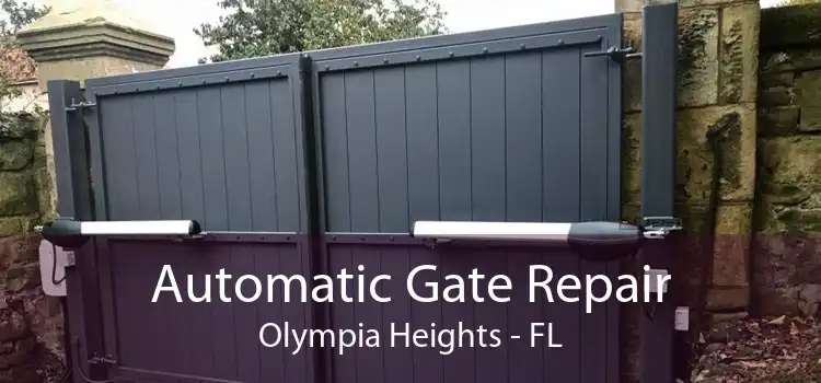 Automatic Gate Repair Olympia Heights - FL