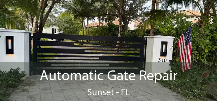  Automatic Gate Repair Sunset - FL