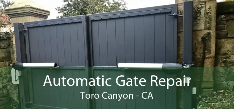 Automatic Gate Repair Toro Canyon - CA