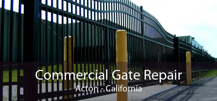 Commercial Gate Repair Acton - California