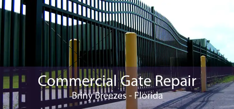 Commercial Gate Repair Briny Breezes - Florida