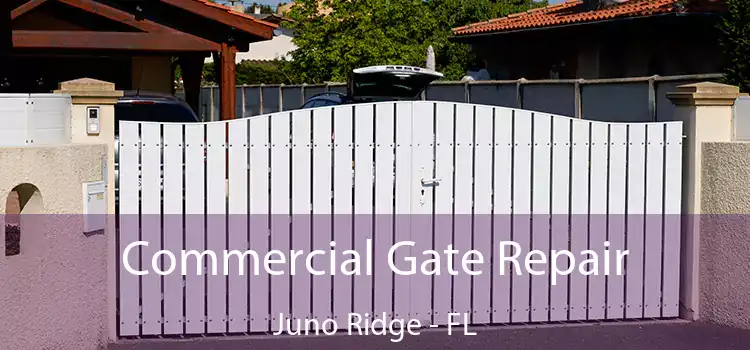 Commercial Gate Repair Juno Ridge - FL