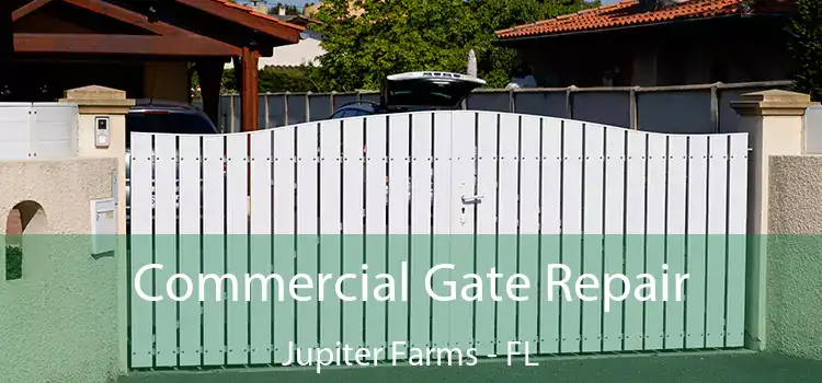 Commercial Gate Repair Jupiter Farms - FL