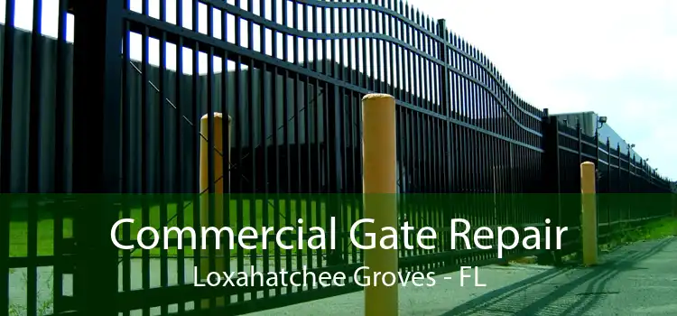 Commercial Gate Repair Loxahatchee Groves - FL