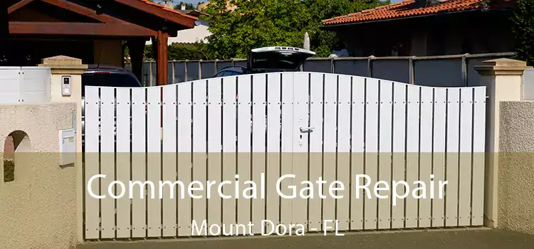 Commercial Gate Repair Mount Dora - FL