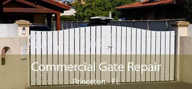 Commercial Gate Repair Princeton - FL