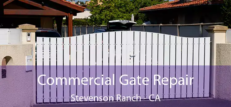 Commercial Gate Repair Stevenson Ranch - CA
