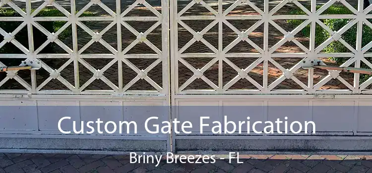 Custom Gate Fabrication Briny Breezes - FL