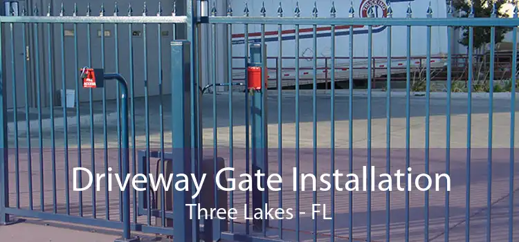 Driveway Gate Installation Three Lakes - FL