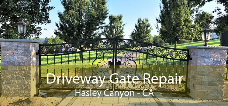 Driveway Gate Repair Hasley Canyon - CA