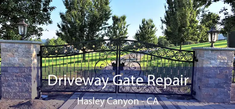 Driveway Gate Repair Hasley Canyon - CA